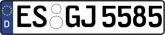 ES-GJ5585