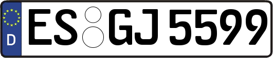 ES-GJ5599