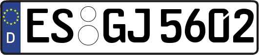 ES-GJ5602