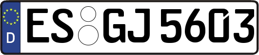 ES-GJ5603