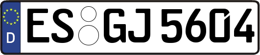 ES-GJ5604