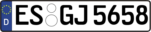 ES-GJ5658