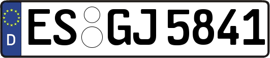 ES-GJ5841
