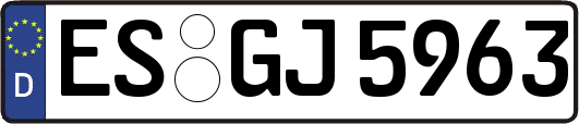 ES-GJ5963