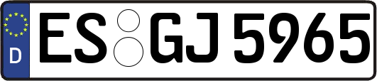 ES-GJ5965
