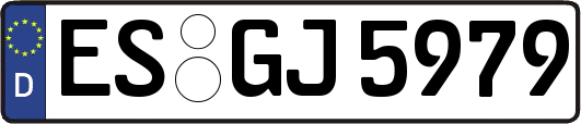 ES-GJ5979