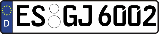 ES-GJ6002