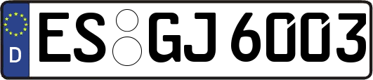 ES-GJ6003