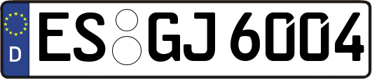 ES-GJ6004