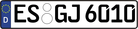 ES-GJ6010