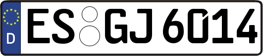 ES-GJ6014