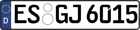 ES-GJ6015