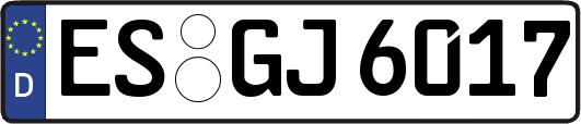 ES-GJ6017