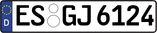 ES-GJ6124