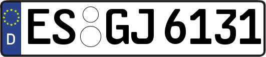 ES-GJ6131