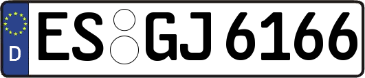 ES-GJ6166