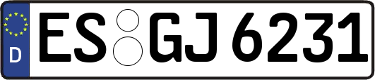 ES-GJ6231