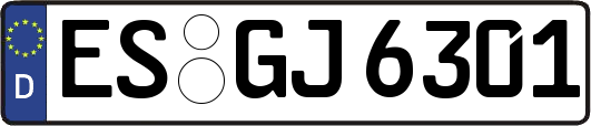 ES-GJ6301