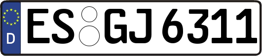 ES-GJ6311