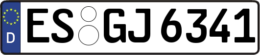 ES-GJ6341