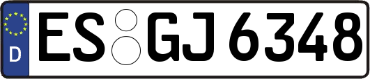 ES-GJ6348