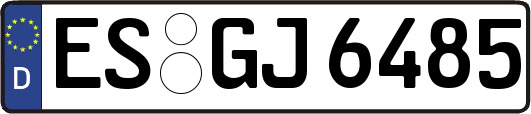 ES-GJ6485