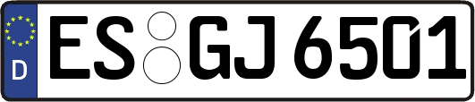 ES-GJ6501