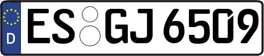 ES-GJ6509