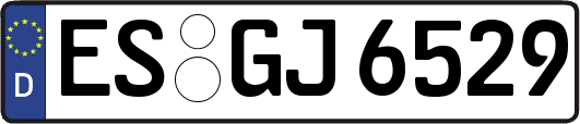 ES-GJ6529