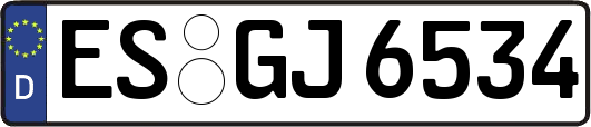ES-GJ6534