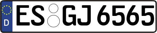 ES-GJ6565