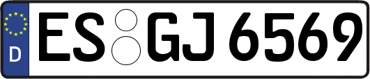 ES-GJ6569