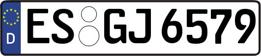 ES-GJ6579
