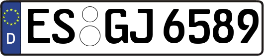 ES-GJ6589