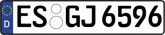 ES-GJ6596