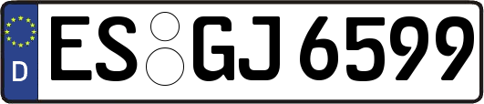 ES-GJ6599