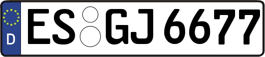 ES-GJ6677