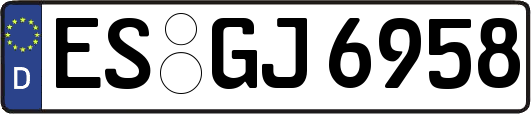 ES-GJ6958