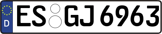 ES-GJ6963