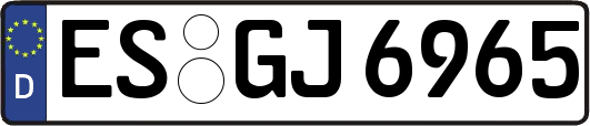 ES-GJ6965
