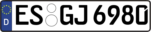 ES-GJ6980