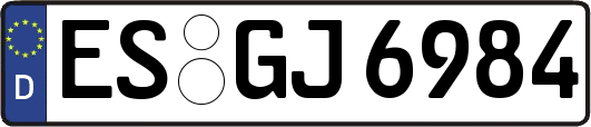 ES-GJ6984