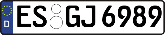 ES-GJ6989