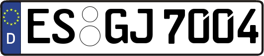 ES-GJ7004
