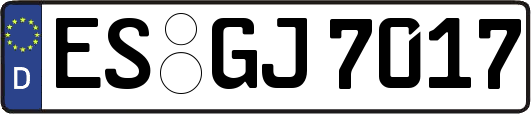 ES-GJ7017