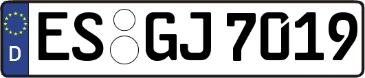 ES-GJ7019