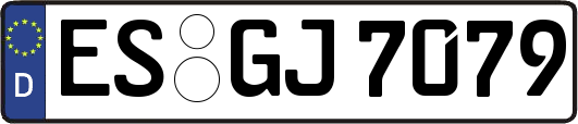 ES-GJ7079
