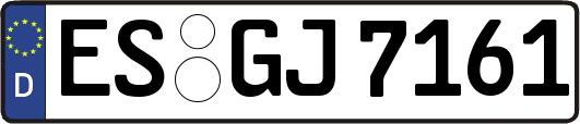 ES-GJ7161