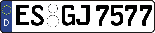 ES-GJ7577