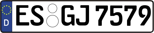 ES-GJ7579